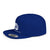 Flat Bill Snapback - Salts of the Earth .ca