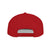 Flat Bill Snapback - Salts of the Earth .ca